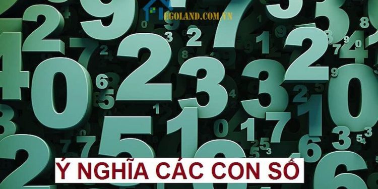 Con đường tình yêu theo số và chiêm tinh học giúp thoát kiếp FA