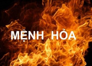 những khám phá thú vị từ phong thuỷ khoa học