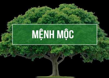 Mệnh mộc – Những điều cần biết từ khoa học phong thuỷ