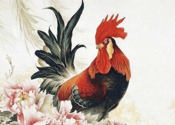 Cách để xem mệnh cho người tuổi Dậu