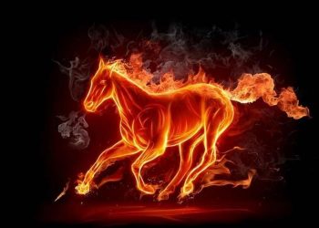 Con giáp xung khắc với người tuổi Ngựa