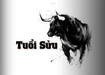 Tuổi Sửu sinh năm bao nhiêu? Là con gì?