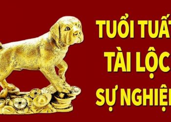 Tuổi này có tài lộc và sự nghiệp như thế nào?