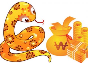 Con đường thành danh rạng rỡ nhất đang mở ra cho người tuổi Tỵ