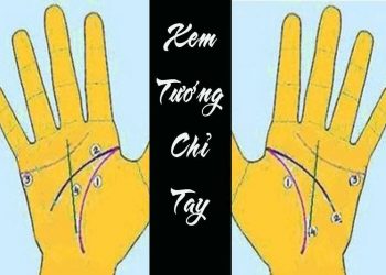 Xem chỉ tay – Cách xem cơ bản theo nhân tướng học bàn tay