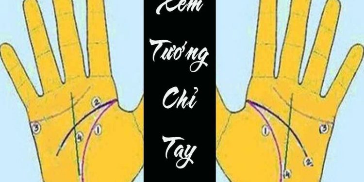 Xem chỉ tay – Cách xem cơ bản theo nhân tướng học bàn tay