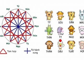 Tổng hợp những vấn đề cần quan tâm