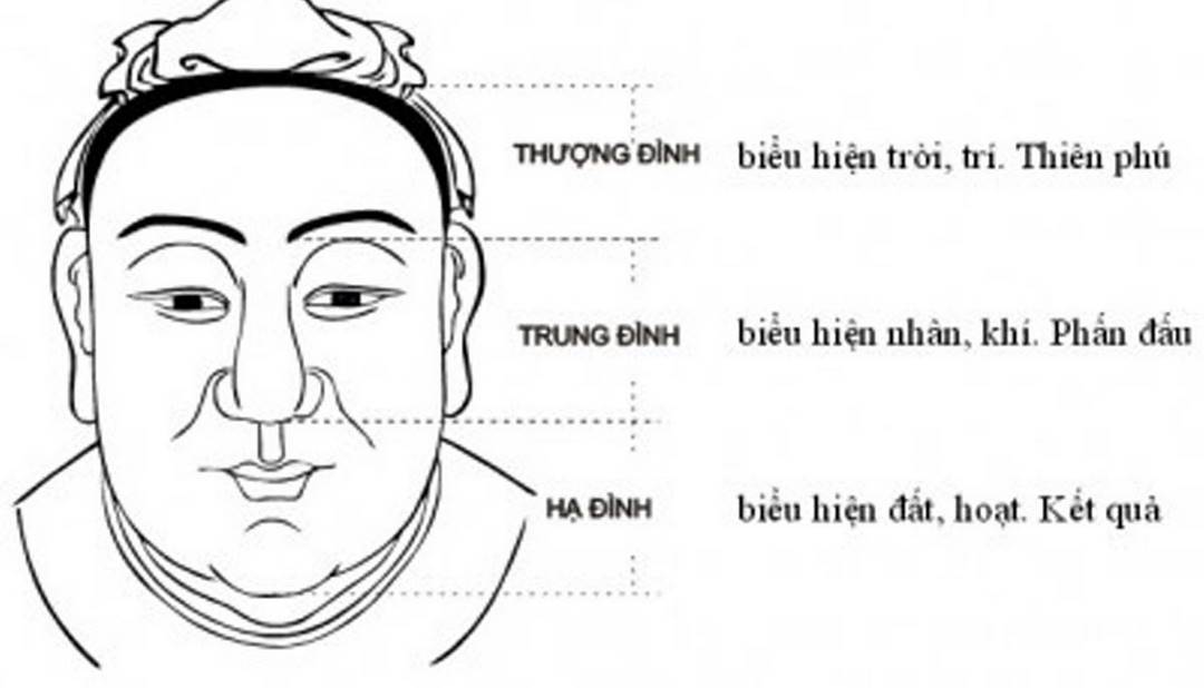 Sao Thái Dương chiếu sẽ có tướng mạo đầy đặn nhân hậu 