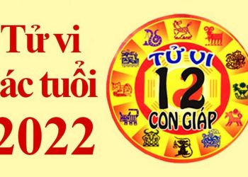 Đã từ rất lâu, việc xem tử vi đã trở thành một nét đẹp văn hoá