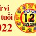Đã từ rất lâu, việc xem tử vi đã trở thành một nét đẹp văn hoá