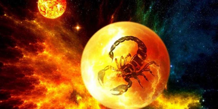 Một Bọ Cạp cuồng nhiệt chính là một Bọ Cạp đang yêu!