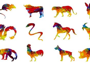 Xem Tử vi hàng tuần cho 12 con giáp