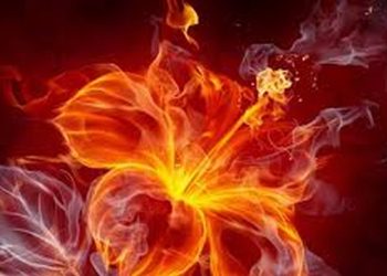 Hỏa sinh Thổ có ý nghĩa như thế nào trong Ngũ hành ?