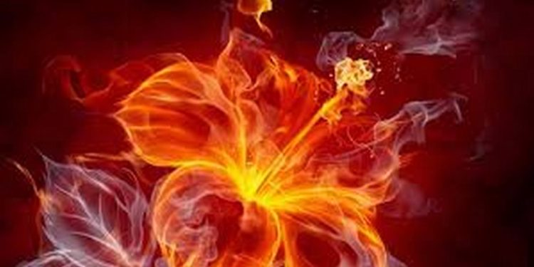 Hỏa sinh Thổ có ý nghĩa như thế nào trong Ngũ hành ?