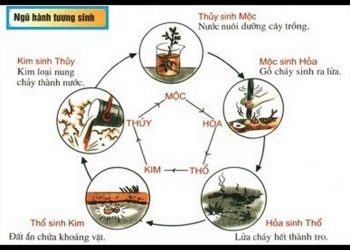 Tại sao Thủy sinh Mộc?