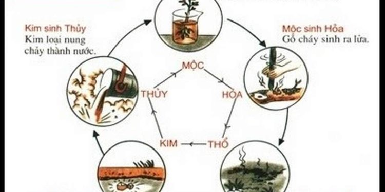 Tại sao Thủy sinh Mộc?