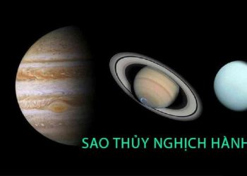 Ý nghĩa của mỗi chòm sao trong 12 Chòm Sao Thủy Nghịch Hành