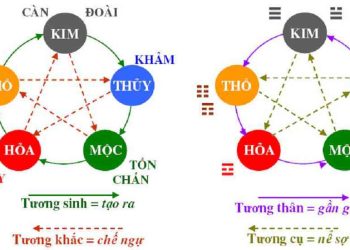 Cách tính Tuổi Tam Hợp trong 12 Con Giáp theo tháng sinh