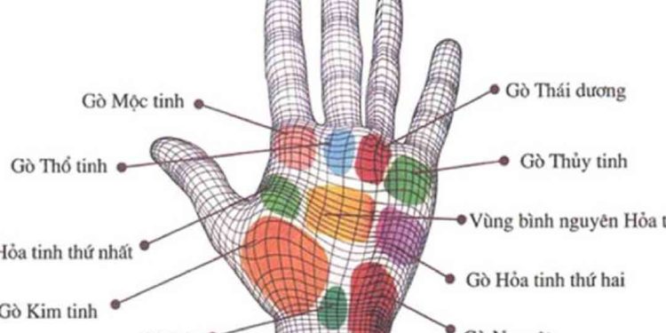 Cách đọc chỉ tay ở nam giới: các bước cơ bản