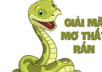 Ý Nghĩa Của Giấc Mơ Thấy Rắn: Sự Hiểu Biết Và Định Hướng Cuộc Đời