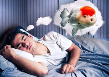 Giải Mã Giấc Mơ Thấy Cá: Những Ý Nghĩa Phổ Biến