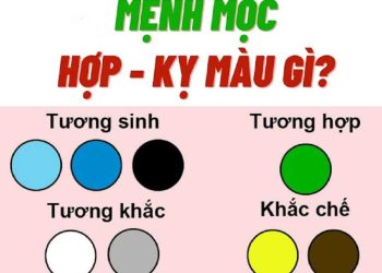 Tổng hợp những màu khắc với mệnh Mộc