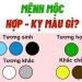 Tổng hợp những màu khắc với mệnh Mộc