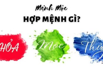 Người mệnh Mộc hợp mệnh gì, khắc mệnh gì?