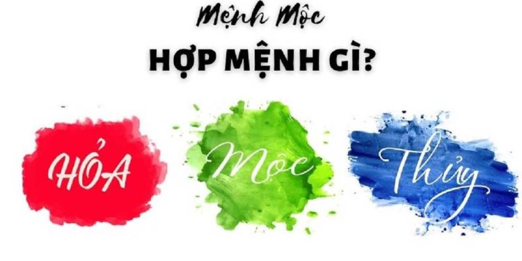 Người mệnh Mộc hợp mệnh gì, khắc mệnh gì?