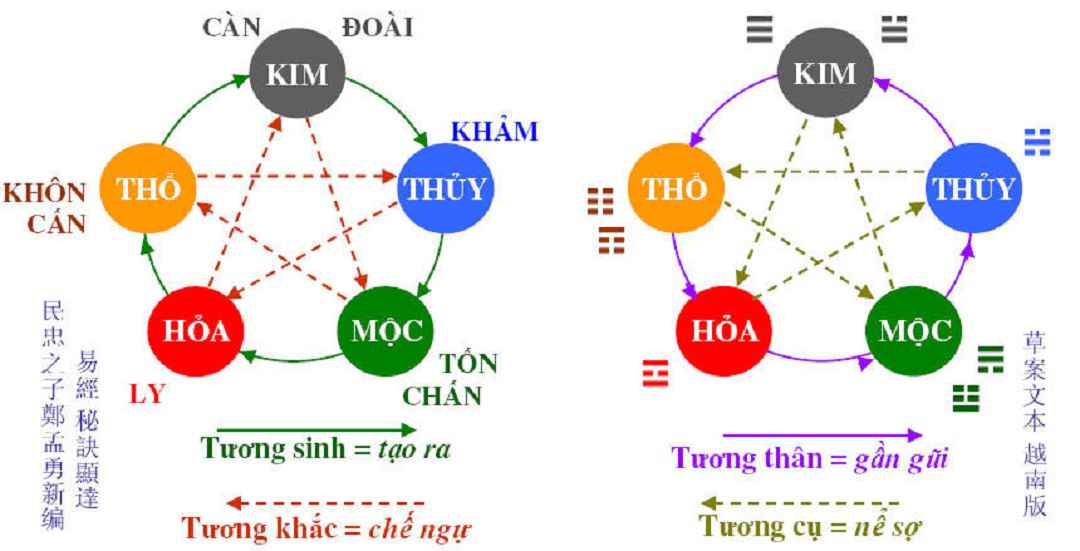 Mệnh Kim hợp với Mệnh Mộc: Sự Tương Phản Và Sự Liên Kết