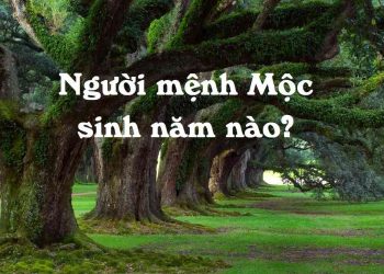 Những gì Người mệnh Mộc có thể mang lại cho may mắn và hạnh phúc?