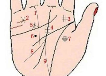 Các đường chỉ tay cơ bản trên bàn tay