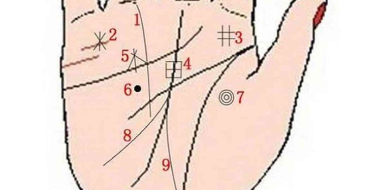 Các đường chỉ tay cơ bản trên bàn tay