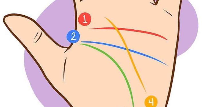 Cách đọc chỉ tay: các bước cơ bản và các yếu tố cần lưu ý