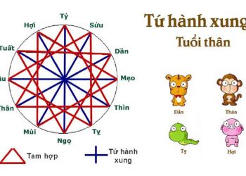 Phương Pháp Tính Toán Tứ Hành Xung