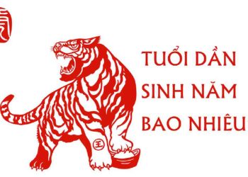 Tuổi Dần sinh năm bao nhiêu?
