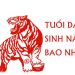 Tuổi Dần sinh năm bao nhiêu?