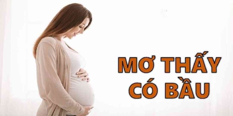 Giải mã các yếu tố trong giấc mơ có bầu