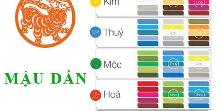 Lựa chọn màu sắc để tô điểm những điểm yếu của tuổi dần