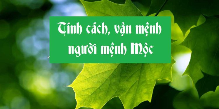 Khám phá về tính cách của Người Mệnh Mộc: Ưu điểm và nhược điểm.