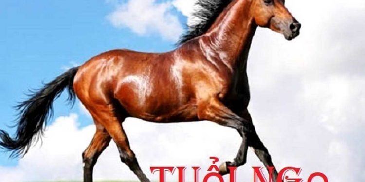 Nét nổi bật trong tính cách người tuổi ngọ