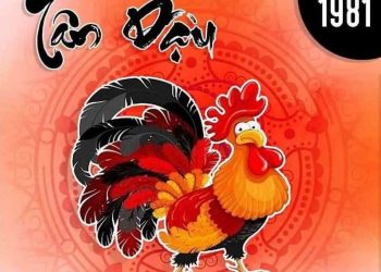 Ưu Điểm Và Nhược Điểm người tuổi dậu 1981