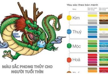 Người tuổi Thìn hợp và kỵ với những màu gì?