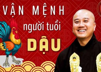 Tìm hiểu vận mệnh của người tuổi Dậu
