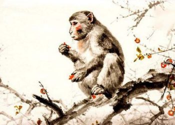 Cách xây dựng mối quan hệ bền vững với người tuổi thân