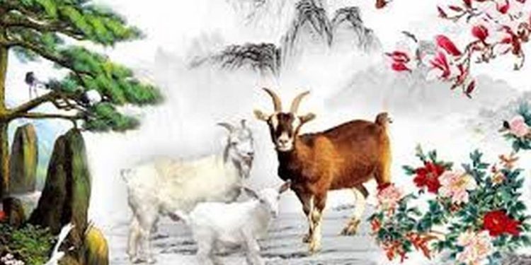 Cách sử dụng màu trong phong thủy tuổi mùi để tạo không gian sống