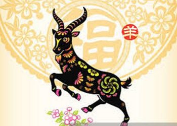 Đinh Mùi 1967, 2027 kị màu gì?