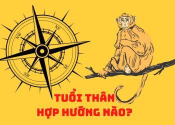 Hướng nhà hợp và không hợp cho tuổi Nhâm Thân