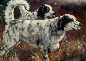 Tuổi tuất hợp màu gì theo năm sinh và mệnh?