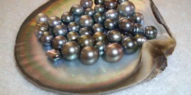 Ngọc trai được định giá qua kích thước và mau sắc